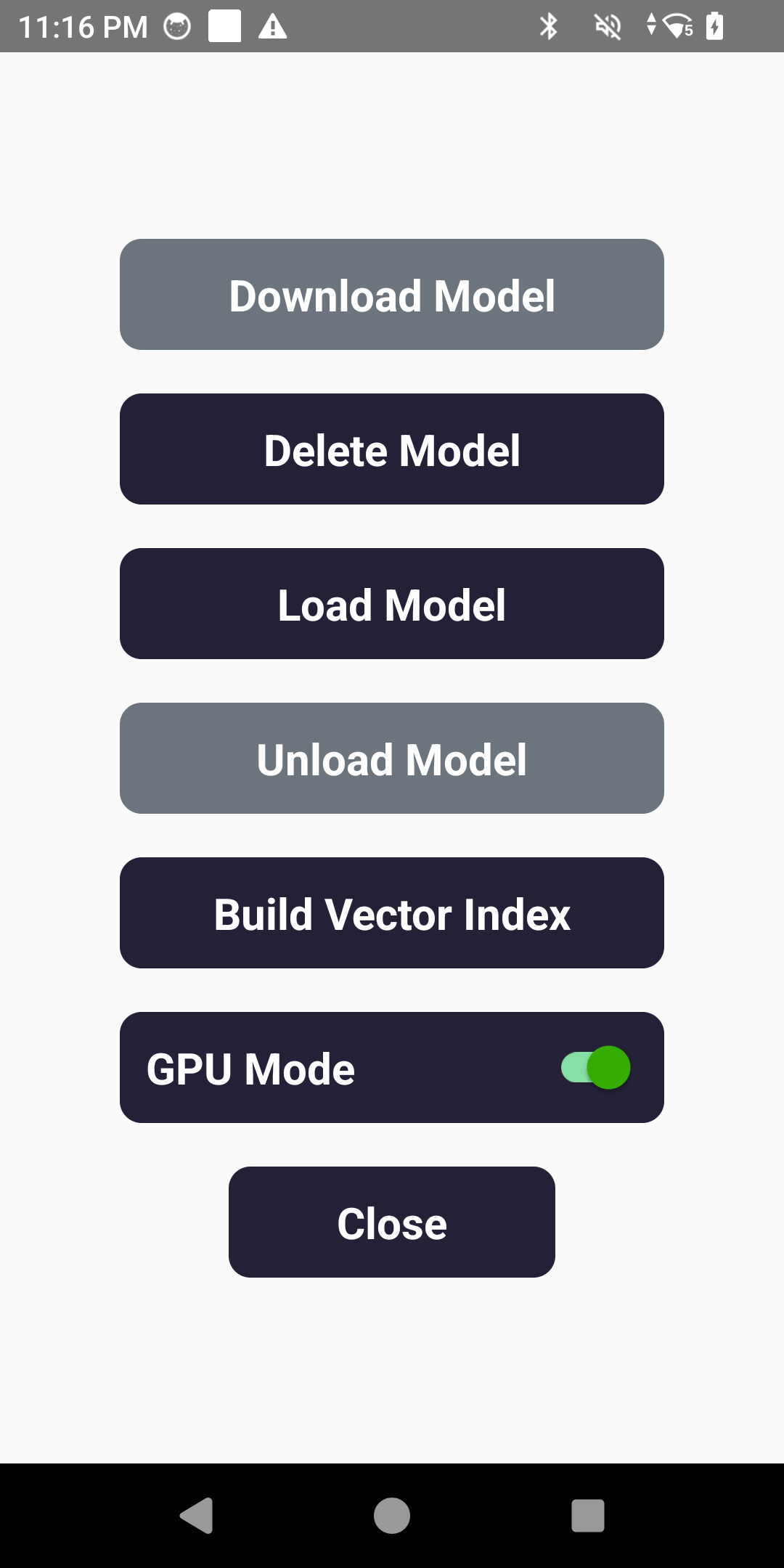 Step 4: Model Loaded Successfully